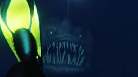 OMG!! Thats Terrific!!