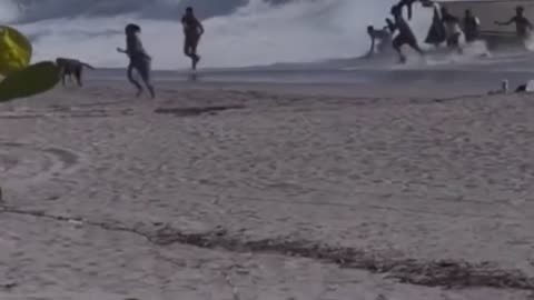 Illegals in Florida wash up