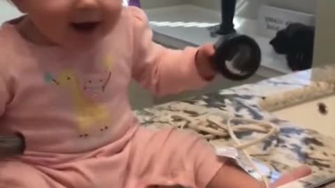 try not laugh babies edition