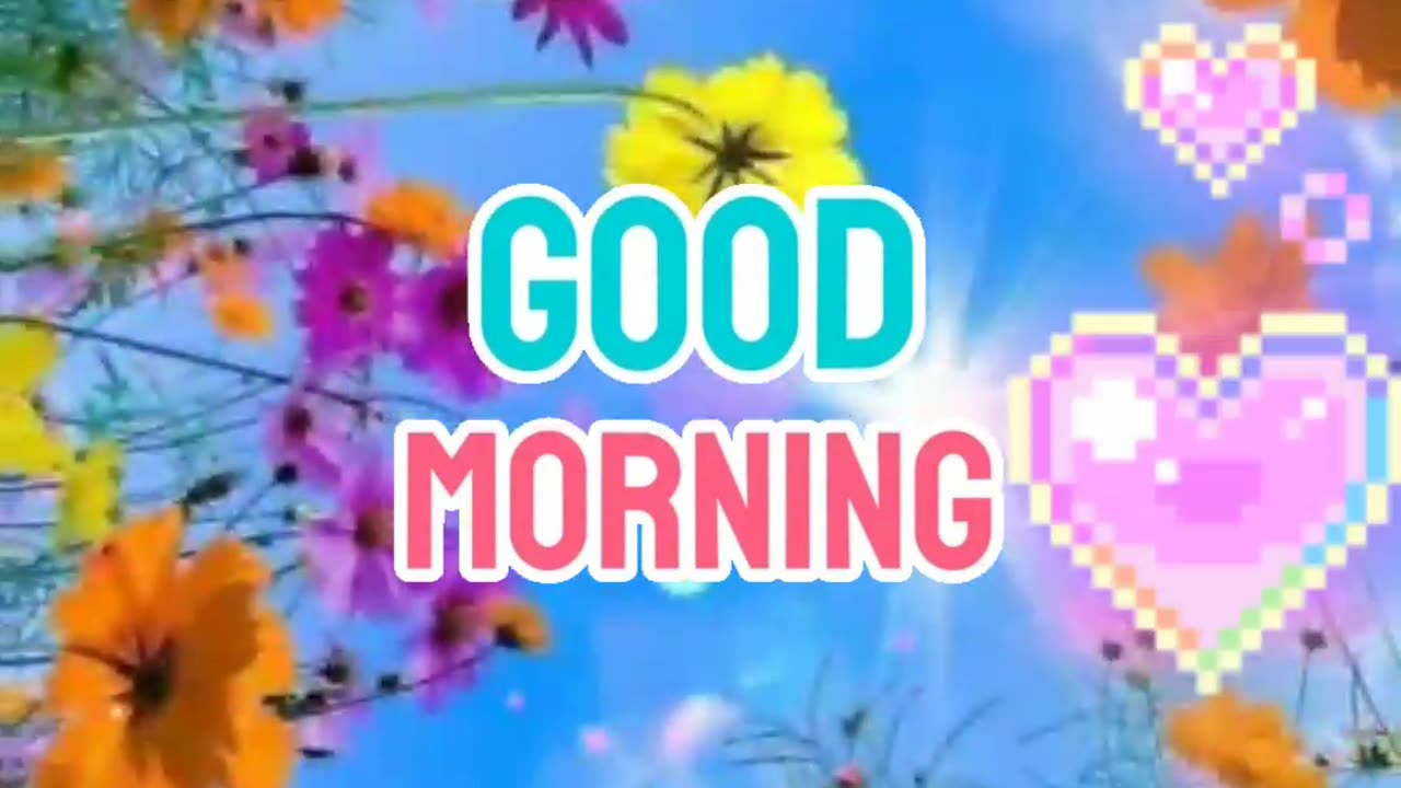 Good Morning 4 K video