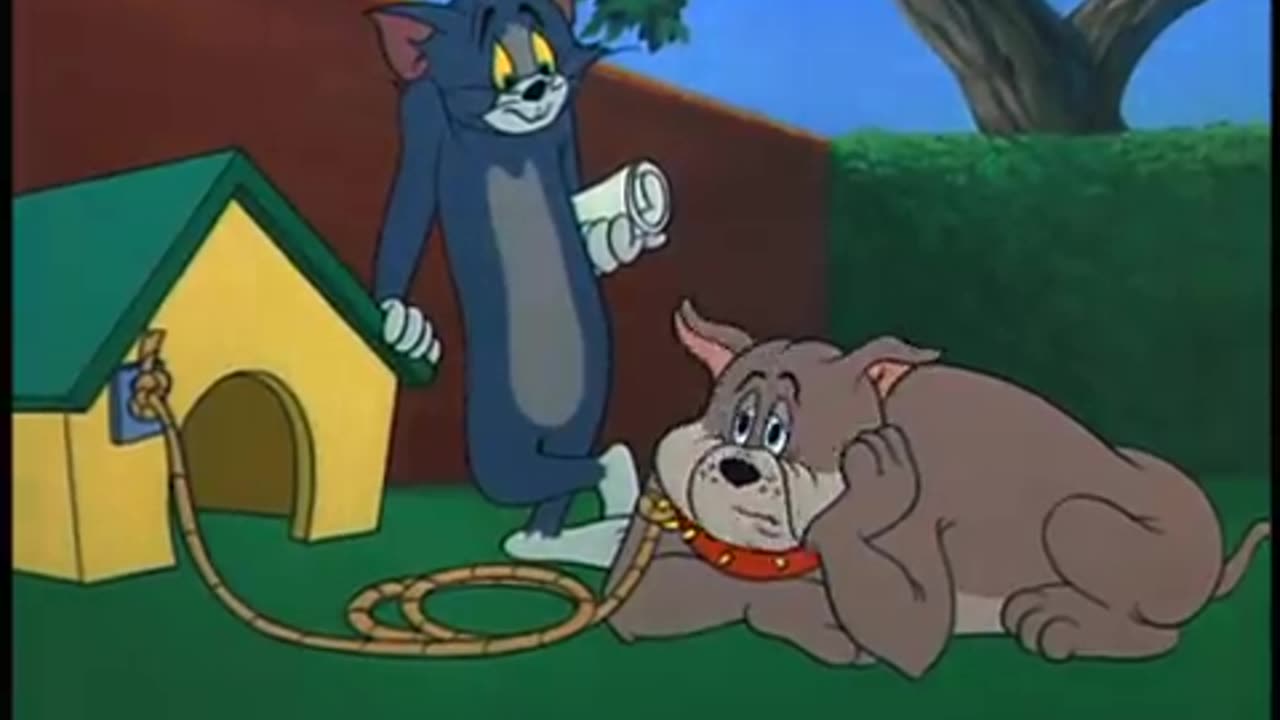 Tom and Jerry - Fit to be tied
