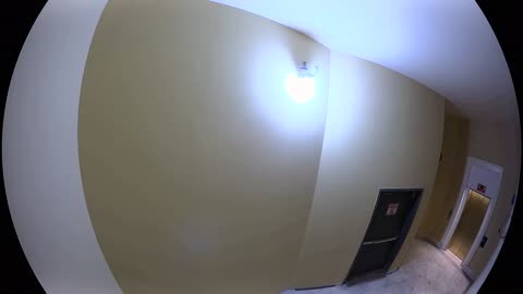 5196CHOB05Stair7_2021-01-05_01h40min01s887ms.mp4