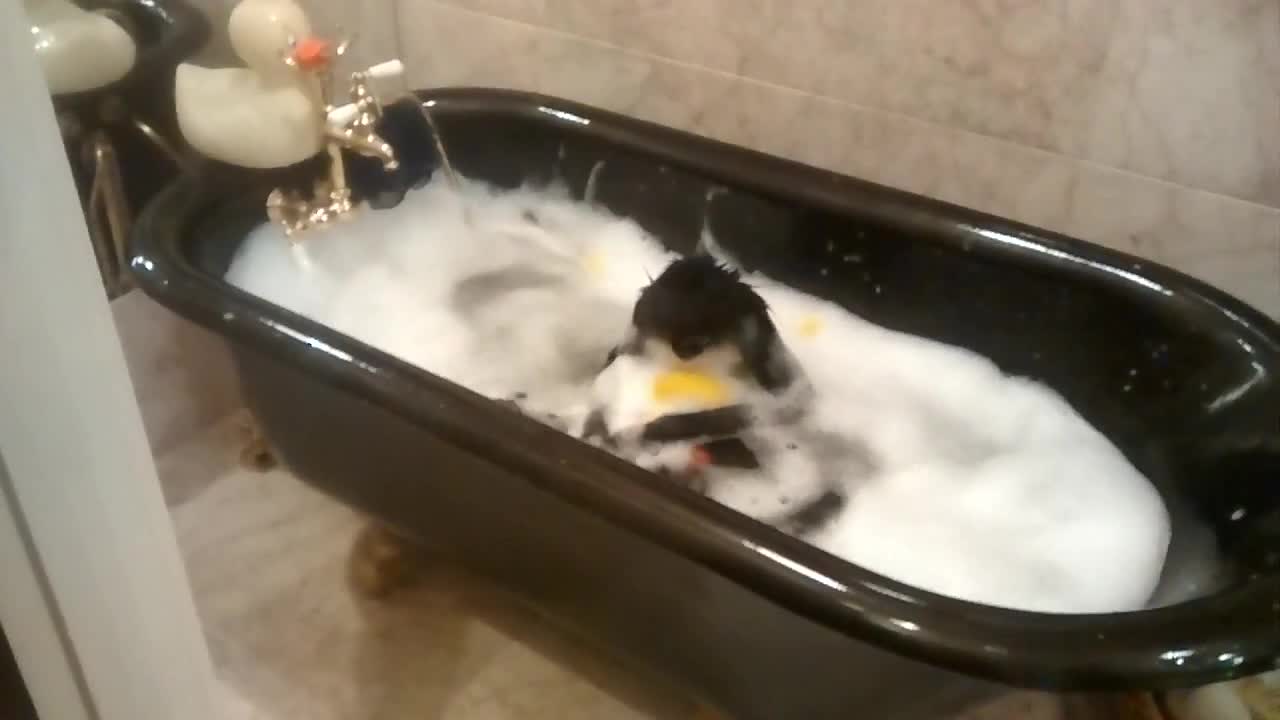 Relaxed monkey enjoys a bubble bath