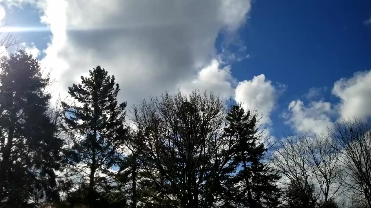 Chemtrail free sky - Feb 20, 2023