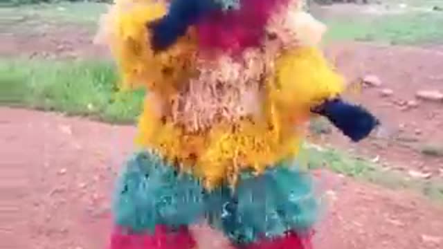 Traditional masquerade.