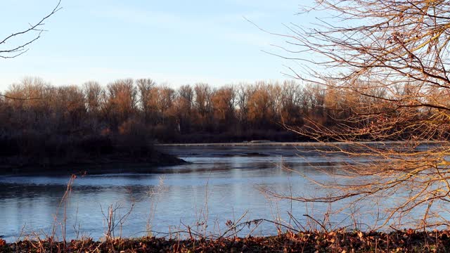 SUNSET ON THE RIVER FOR THE SOUL | Relaxing Sounds OF the River | Birdsong with the
