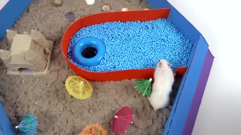 Pool maze for hamster- rainbow pyramid maze