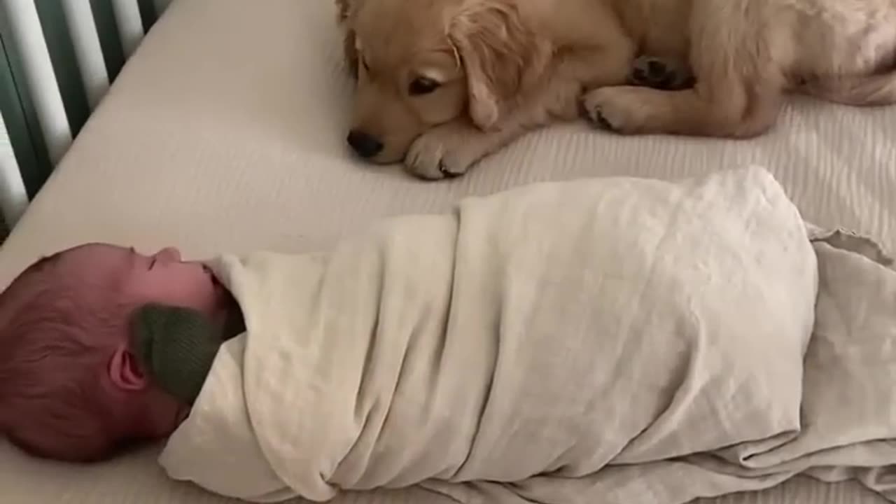 Puppy Sleeps with Baby!