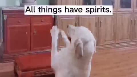 All things have spirits