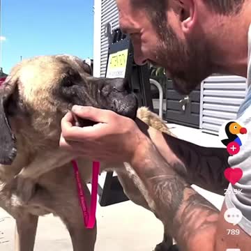 My heart😭❤️🥰