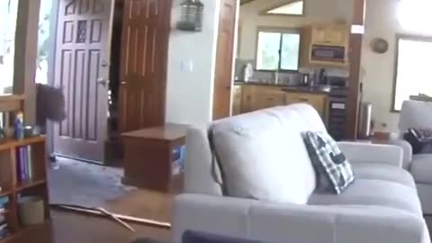 Breaking & Entering