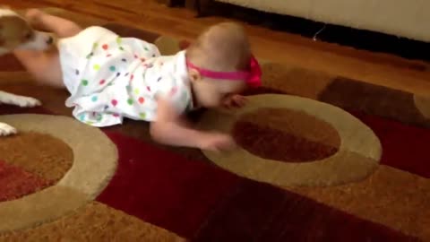 dog teaches baby to crawl