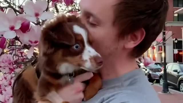 Life is too short not to bring your dog with