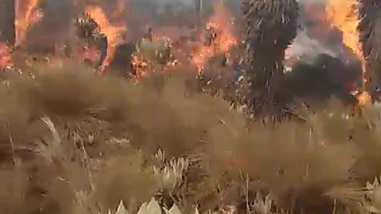 Incendio en páramo de Boyacá