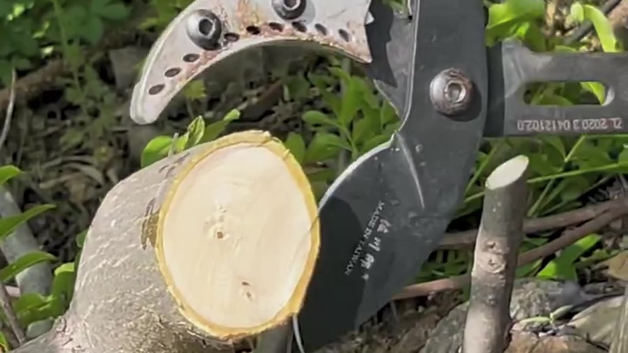 Powerful Scissors For Trees