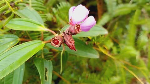 Neon flower