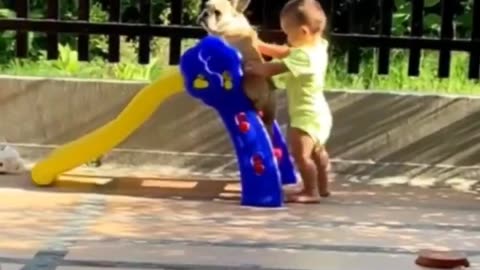 Adorable Kid and Dog with Slide