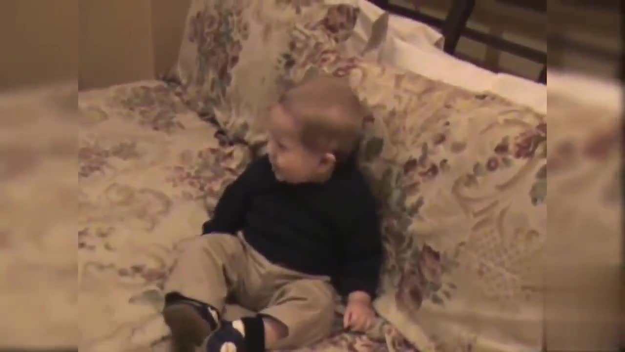 German shepherd dog Playing with and guarding a baby
