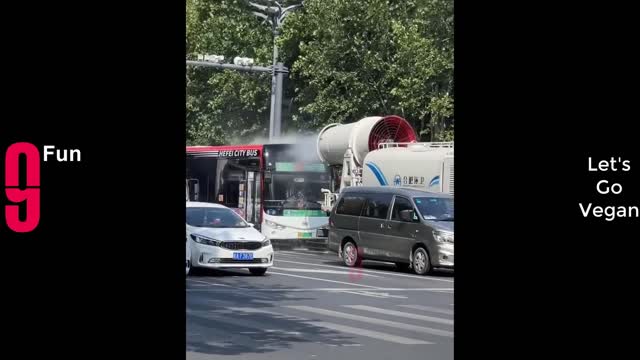 Funny vids compilation