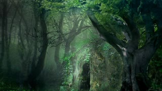DEMS deep Forest