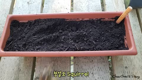 누가 내 모종삽을 건드렸나_ Who Touched My Trowel_