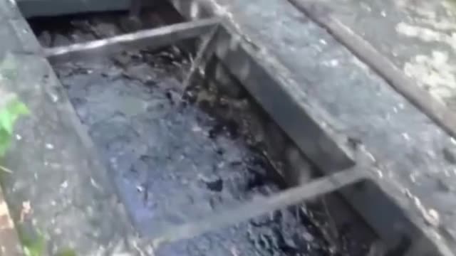 Algo de errado não está certo