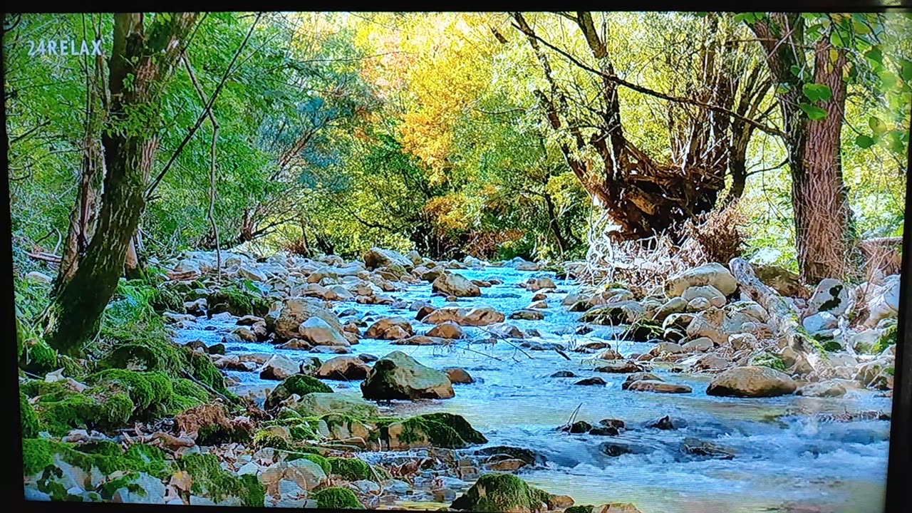 DAUGHTER OF MY PEOPLE ARE LIKEN UNTO AN OSTRICH IN THE WILDERNESS...