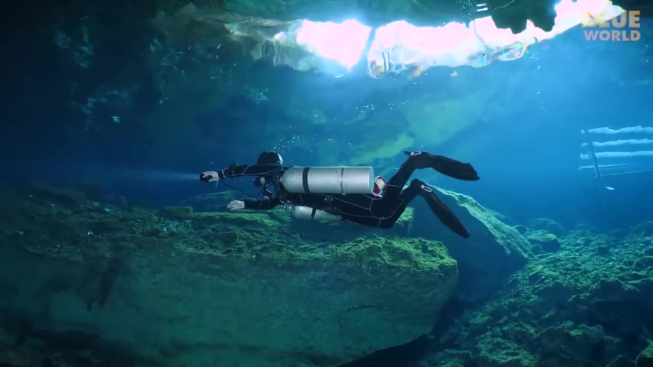 Bird Cage Cave Dive! (The longest cave in the world!)
