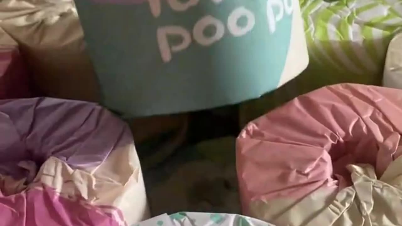 LovelyPooPoo Bamboo Toilet Paper Review