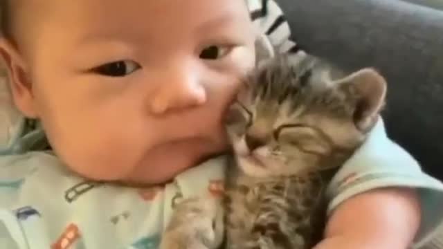 Cute kitten and baby loves