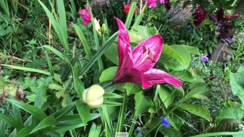 STROPPY’S RANDOM THOUGHTS … Friday, 10th of December 2021 … Morning Coffee Edition
