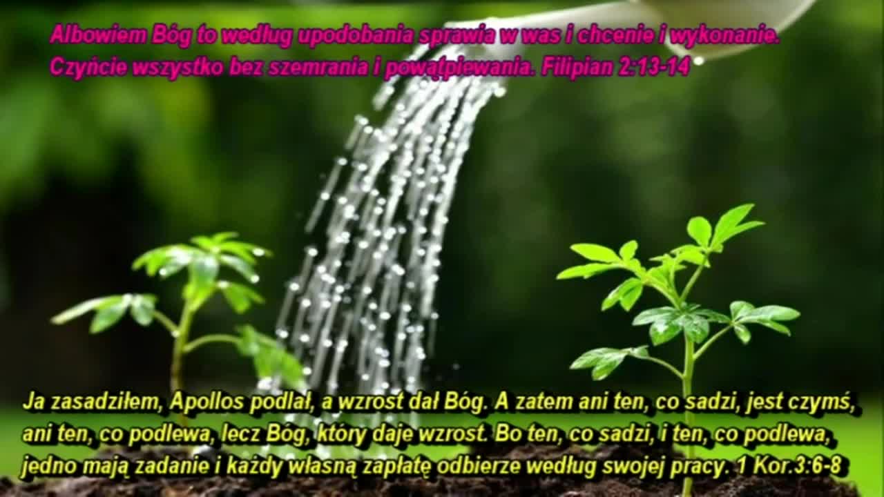 Służba u Boga