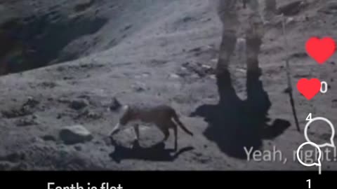 The Size Perspective