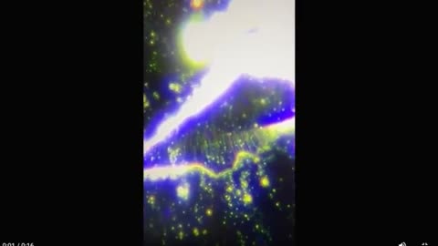 Органический Стейк На Травяном Корме