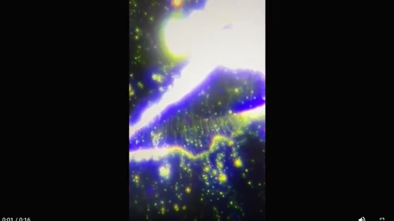 Органический Стейк На Травяном Корме