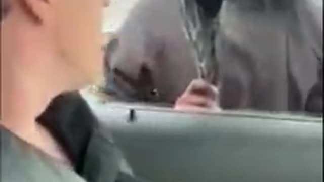 Criminal Tries To Break Into Cop Car, With Cops Inside