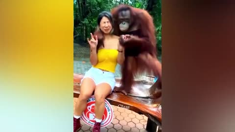Funny Animals