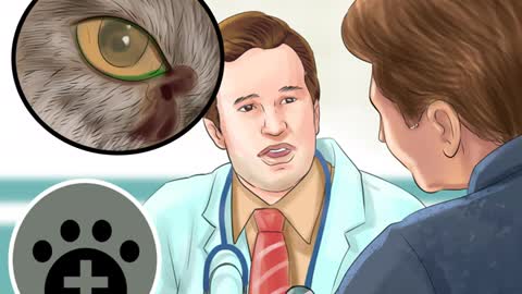 Treat Watery Eyes in Cats