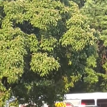 [Cyraxx Youtube 2021-7-7] Live accident