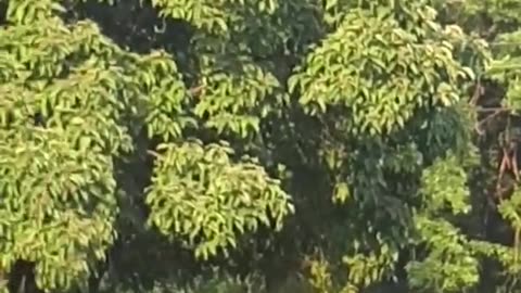 [Cyraxx Youtube 2021-7-7] Live accident