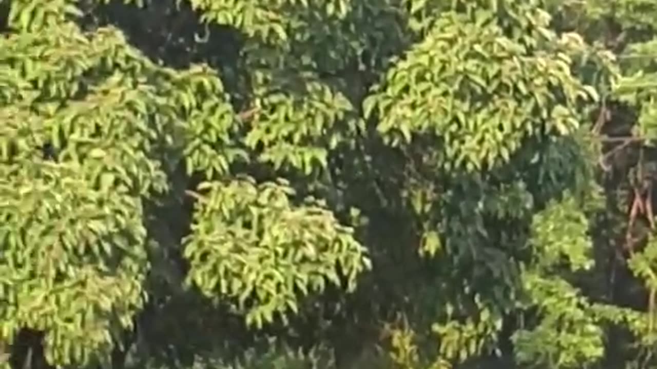 [Cyraxx Youtube 2021-7-7] Live accident