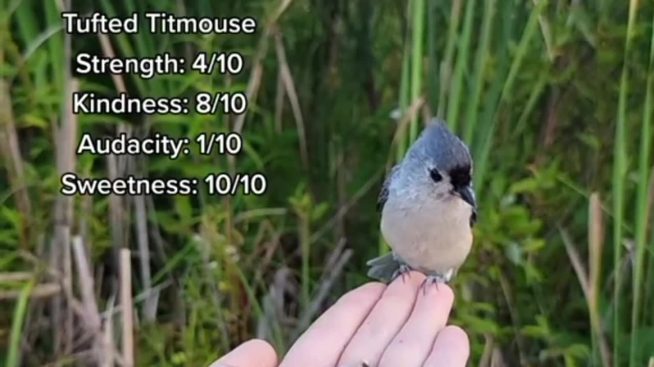 Sad video