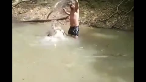 Nature's High Voltage Predators ⚡