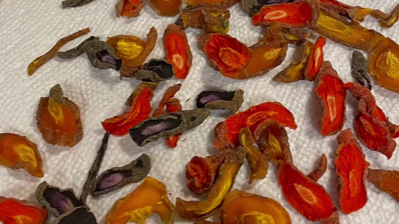 Dehydrating Carrots & Squash