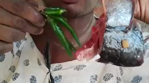🌶️🥺fish