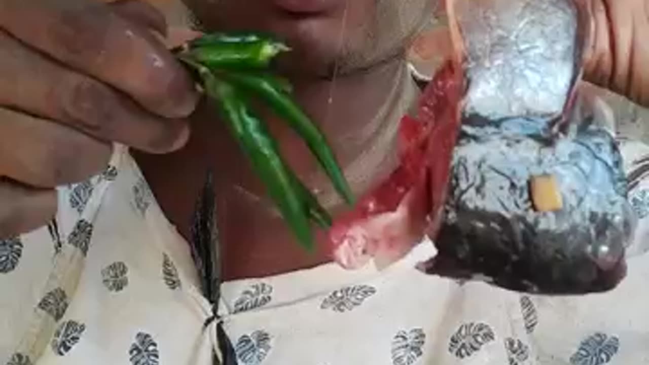 🌶️🥺fish