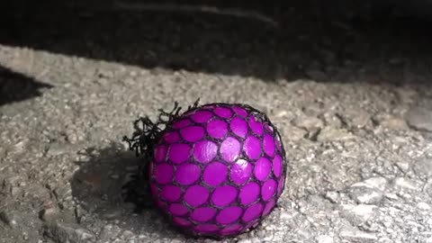 Crushing soft and crunchy thing by car