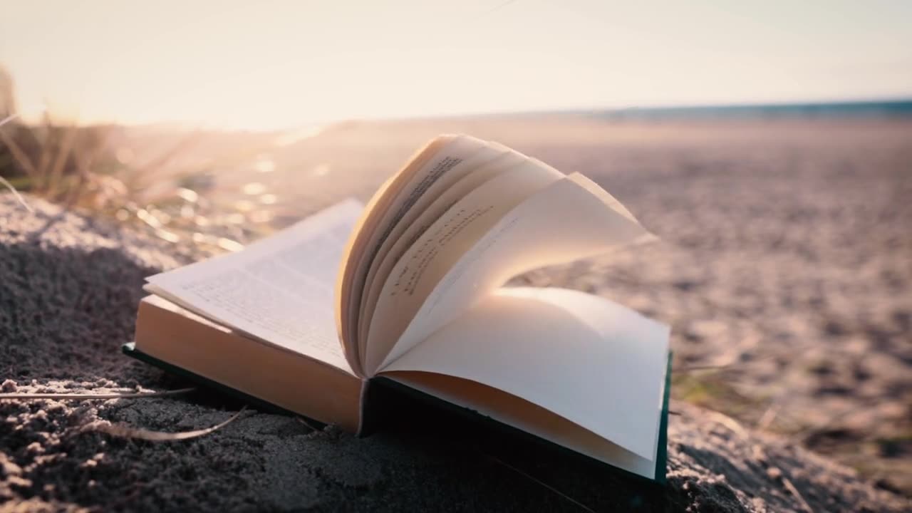 Reading on the beach