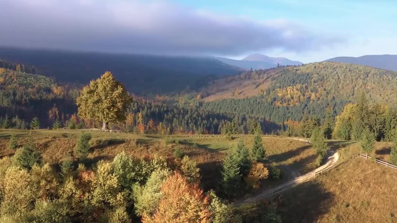 Enchanting Autumn Forests with Beautiful Piano Music