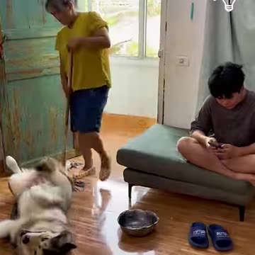 This dog is so helpful!